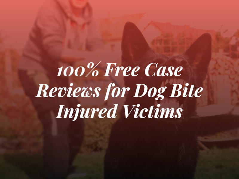 Boston dog bite lawyer