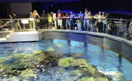 New England Aquarium